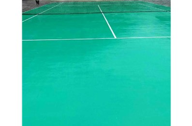 抗菌型雙組份刷涂聚脲的性能和應用